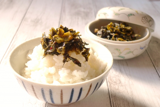白ごはん＋辛子高菜